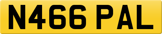 N466PAL